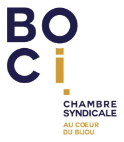 Logo Boci