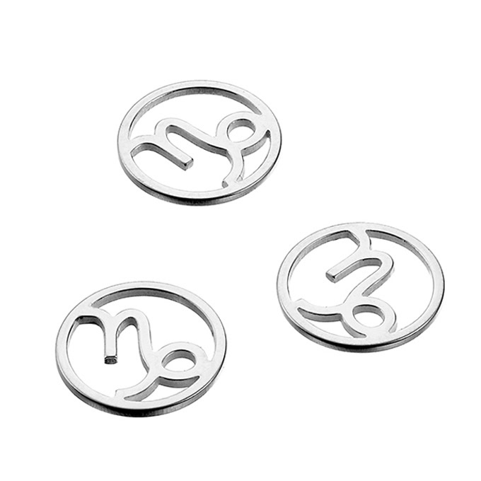 10mm Capricorn zodiac charms (10pcs)